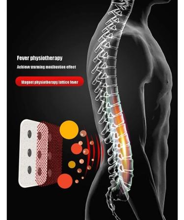 Buy BQTCICUQ Lumbar Support Belt for Men & Women | Magnetic Waist Heating Pillow | Adjustable Lower Back Support & Protection - Buy Online on GoSupps.com