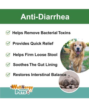 Anti Diarrhea Liquid for Dogs - Dog Diarrhea Relief with Kaolin (4 oz.) - Buy Online on GoSupps.com
