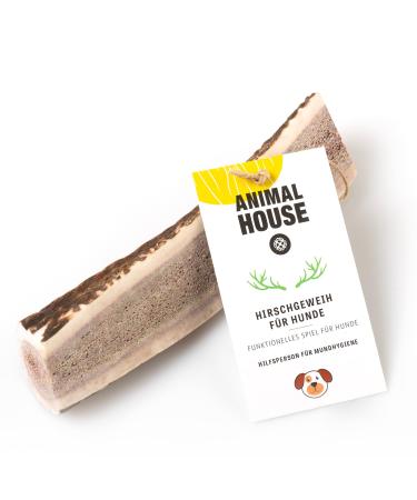 Animal House - shared deer antler for dogs - 100% natural causnack - mouth hygiene - resistant and durable - is available in all sizes (L) L 1 piece (1 Pack)