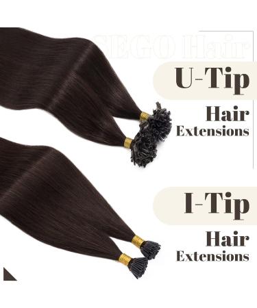 20" Keratin Pre Bonded Human Hair Extensions 100 Strands (#2 Dark Brown 50g) - Buy Online on GoSupps.com