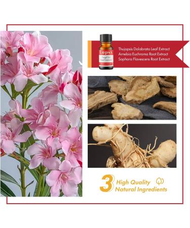 Mycose Ongles Des Pieds Lopsx Traitement Mycose Ongle Pied Puissant - Traitement Efficace pour Ongles Ab m s D color s et Fragiles 10ml - Buy Online on GoSupps.com