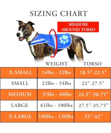 Safetypup XD Reflective Dog Vest - XL Blue for Maximum Visibility & Safety | Perfect for Leash & Off-Leash Use - Buy Online on GoSupps.com