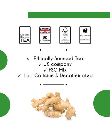 Thames Tea Tubebox - Premium Flavoured Loose Leaf Fruit & Herbal Tea for a Luxury British Experience: Ginger & Lemon Tea - Buy Online on GoSupps.com
