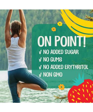 EarthChimp Organic Vegan Protein Powder - 26 Servings, 32 Oz - Vanilla Flavor with Probiotics, Digestive Enzymes - Plant Based, Dairy Free, Non GMO, Gluten Free, Gum Free - Includes Scoop - 2 Pound Pack - Buy Online on GoSupps.com