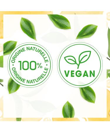 EVOLUDERM - Pure Castor Oil - Vegetable Oil - Hair Nails Eyelashes and Eyebrows - 100 ml - 100% Natural Origin - Vegan - Made in France - Buy Online on GoSupps.com