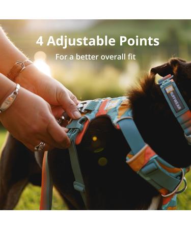 Buy Luffwear Front Range Dog Harness - Reflective Adjustable Padded for Comfort - Perfect for Walks & Dog Races - Available in River Rock Green XXS - Buy Online on GoSupps.com