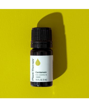 Plant Therapy Cardamom Essential Oil 5 mL (1/6 oz) 100% Pure Undiluted Aromatherapy Warm Cozy Scent Digestive Support 0.16 Fl Oz (Pack of 1) - Buy Online on GoSupps.com