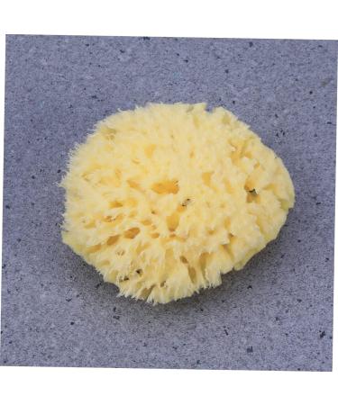 Healeved Mineral Bath Sponge | Natural Facial & Shower Scrubber | Bulk Honeycomb Bath Wipe for Optimal Skin Care - Buy Online on GoSupps.com