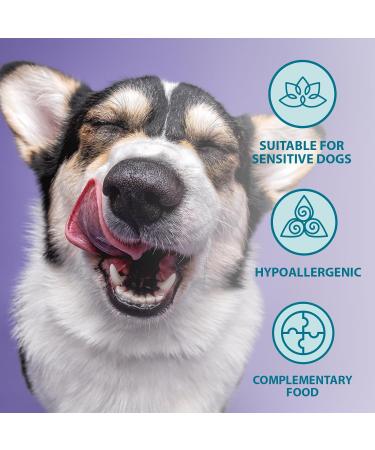 Burns Pet Natural Nutrition Adult and Senior Wet Dog Food - Wild Fish, Carrots, Organic Brown Rice - 12 x 150gm - Buy Online on GoSupps.com