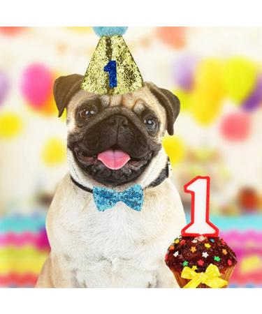 Dog Birthday Hat Pet Birthday Hat Kit with Bow Tie Collar and Blue Number Reusable Dog Cats Birthday Cap for Pet Puppy Cat Birthday Party Decorations Pet Costumes Headwear Accessories (Blue) - Buy Online on GoSupps.com
