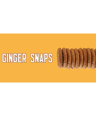 Sweetzels Ginger Snap Cookies - 16 oz - Pack of 2 - Buy Online on GoSupps.com