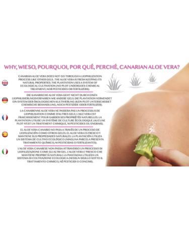 ALOE EXCELLENCE - Nourishing Face & Body Cream with Aloe Vera & Rosehip Oil | International Shipping Available - Buy Online on GoSupps.com