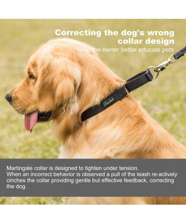 Durable Martingale Dog Collar - Adjustable No Escape Nylon for Medium Dogs (1in x 14-21in) - Black - Buy Online on GoSupps.com