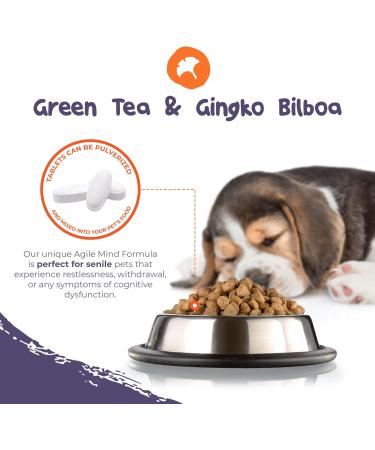 PetExx Agile Mind Supplement for Senior Cats and Dogs with Omega 3, CoQ10, Gingko Biloba, Vitamin B6, B12, D3, and E - UK Made - Buy Online on GoSupps.com