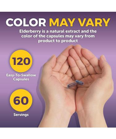 Viva Naturals Elderberry Immune Support Supplement - 120 Vegan Capsules for Immunity Boost - Buy Online on GoSupps.com