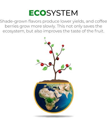 Grano Milano Ground Coffee Intenso Arabica and Robusta Dark Roast Intensity 5/5 Extra Strong Coffee - 26.45 Oz - Pack Of 3 - Buy Online on GoSupps.com