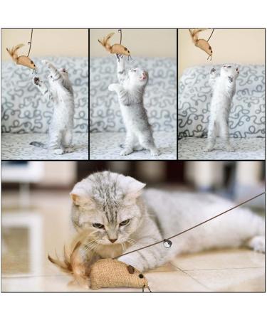 Shengruili 7-Piece Interactive Cat Toy Set | Kitten Mouse Toys Sisal Balls & Fun Activities for Cats - Buy Online on GoSupps.com