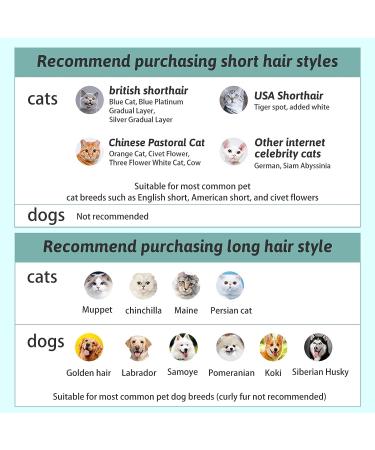 Kolibrin Animal Hair Removal Comb with Water Tank - Cat Brush for Effortless Pet Hair Removal (Blue) - Buy Online on GoSupps.com