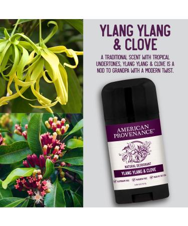 American Provenance All Natural Men's Deodorant - Aluminum Free, Long-Lasting, Essential Oils - Ylang Ylang & Clove - Made in USA - Buy Online on GoSupps.com
