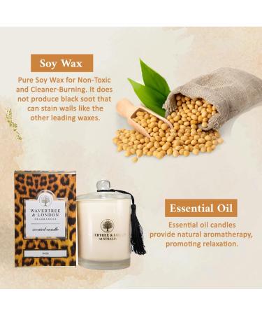 Wavertree & London Organic Noir Scent Soy Wax Candle - 100% Cotton Wick Non-Toxic Triple Scented Hand Poured in Australia - 60 Hours Burn Time 11.66 Oz Vanilla - Buy Online on GoSupps.com