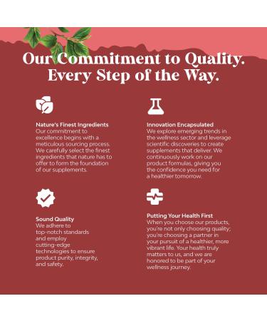 GSE Grapefruit Seed Extract Liquid - One Drop Daily - Super Concentrated Grape Seed Extract Liquid Drops Rich in Bioflavonoids & Polyphenols for Gut Health & Immune Support - 2OZ - 60 Servings 2 Fl Oz (Pack of 1) - Buy Online on GoSupps.com