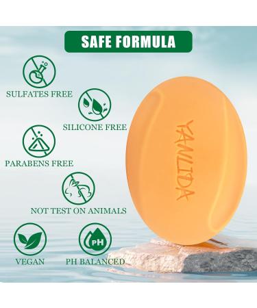 Solid Shampoo Conditioner Bar 2-In-1 | pH Balanced Vegan Citrus Shampoo for Dry Itchy Oily Scalp | Cruelty-Free Hair Care (Pack of 2 - Buy Online on GoSupps.com