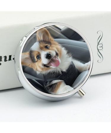 Portable 3 Compartment Pill Box Organizer | Travel-Friendly Medicine Case - Compact & Stylish for Purse & Pocket - Buy Online on GoSupps.com