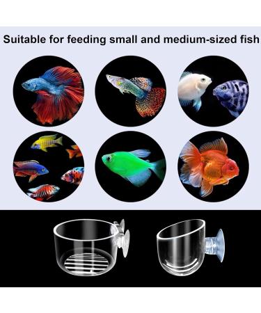 Buy PIZSIEAT 8-Piece Aquarium Plants Set | Suction Cup Decorative Glass Pots for Mini Fish Tanks & Aquatic Landscapes - Buy Online on GoSupps.com