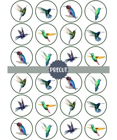 PRECUT Hummingbirds Edible Cupcake Toppers - Hummingbird Theme Premium Thickness SWEETENED VANILLA - wafer card disc cake decorations (Pack of 24) - Buy Online on GoSupps.com