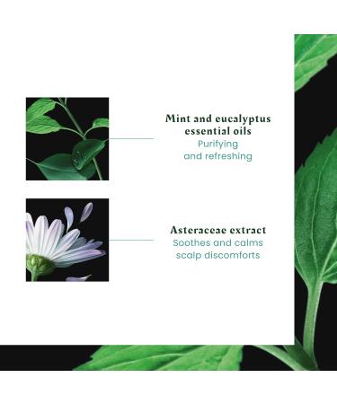 Ren Furterer - ASTERA FRESH - Soothing Freshness Serum - Leave-In Cooling Soothing Treatment Sensitive Scalp - 75ml - Buy Online on GoSupps.com