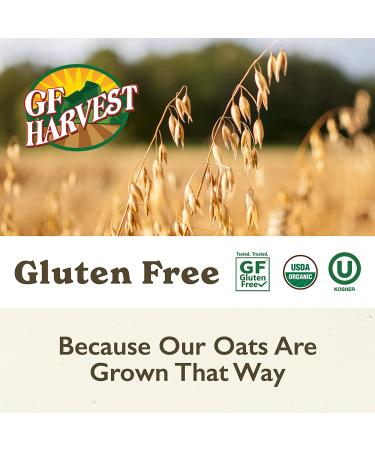 GF Harvest Organic Gluten Free Oat Groats 40oz Bag - 2.5lb (Pack of 1) - Buy Online on GoSupps.com
