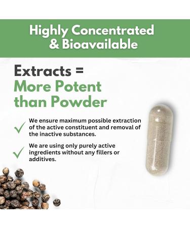 Boswellia Extract and Ashwagandha Capsules 2000 mg - Strong Natural Support Pills 3 Month Supply - Consentrated Boswellia Serrata 65% Boswellic Acid with Ashwagandha Powder Supplement - Buy Online on GoSupps.com