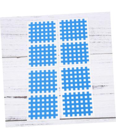 Shop Gatuida 20 Sheets Adhesive Tape for Miniature Garden Tools Athletic Use Soy Sauce Dishes & Fitness Physiotherapy - International Shipping Available - Buy Online on GoSupps.com