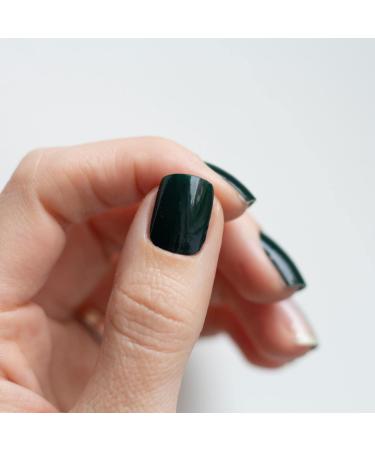 Avoa Beauty Green with Envy Nail Film | Dark Green Self-Adhesive Nail Wraps - Long-Lasting Transparent Nail Art Design - 16 Pack - Buy Online on GoSupps.com