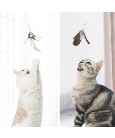 Songway Interactive Cat Toys Set - Retractable Feather Rod & 6 Replacement Springs with Bells for Ultimate Cat Fun - Buy Online on GoSupps.com