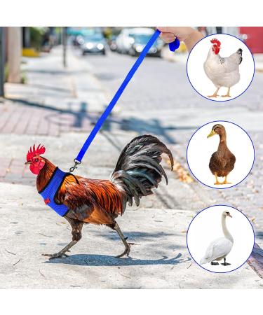 Molain Adjustable Chicken Harness & Leash - Comfortable Vest for Ducks & Hens (2-11 lbs) - Breathable Mesh Training Gear (Blue) - Buy Online on GoSupps.com