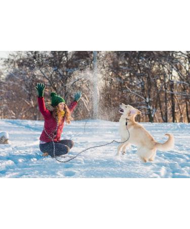 Adjustable 2.6m Dog Leash - Reflective Multifunctional Nylon for Walking Running & Training - Red & Gray - Buy Online on GoSupps.com