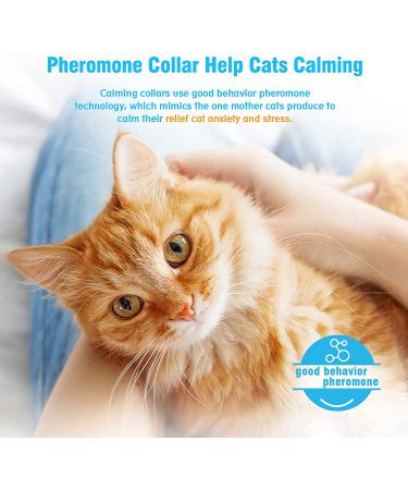 Kaspiu Calming Collar for Cats - 3 Pack Pheromone Calm Anxiety Relief for Kittens - Stress and Anxiety Relief - Breakaway Design - Gray - Buy Online on GoSupps.com