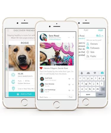 FitBark 2 Dog Activity Monitor | Health & Fitness Tracker | Waterproof & Lightweight (10g) - Buy Online on GoSupps.com