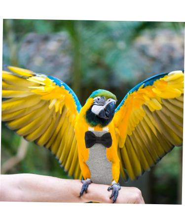 BESPORTBLE Flying Bird Diapers Parrot Bird Nappy Clothes Trendy Clothes Roleplay Costume Parakeet Cage Accessories Decorative Bird Clothes Pet Accessories Dreses Washable Cotton The Bird 12x6cm - Buy Online on GoSupps.com