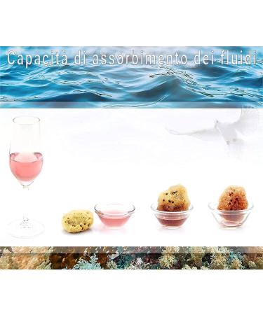 Crigema Menstrual Sponge - Eco-Friendly Reusable Alternative to Tampons & Cups with Jute Hygiene Bag | 10x5-7 cm - Buy Online on GoSupps.com