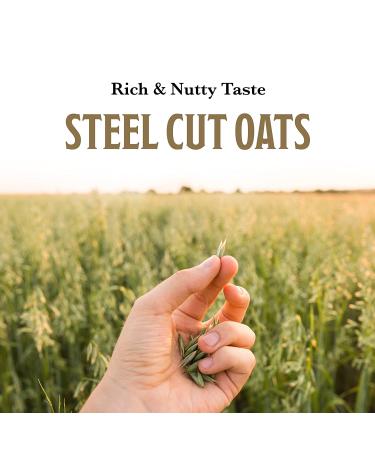 McCann's Irish Oatmeal  Quick & Easy Steel Cut Oats  24 Ounce - Buy Online on GoSupps.com