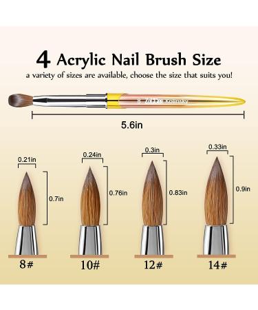 Kolinsky Acrylic Nail Brush Set with Double-Ended Nail Clean Up Brush - Ideal for DIY Nail Art - #8 Gold - Buy Online on GoSupps.com