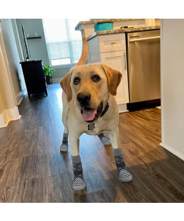 EXPAWLORER Large Anti-Slip Dog Socks - Double-Sided Non-Slip Paw Protector for Wooden Floors - Grey, 3 Pairs - Buy Online on GoSupps.com