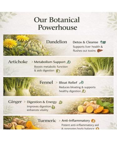 Lipovia Glp-1 Patches Natural Ingredients Glp1 Patches for Firming with Dandelion Fennel Artichoke Ginger & Turmeric Skin and Energy for Men and Women Body Care - 60 Patches 2 - Buy Online on GoSupps.com