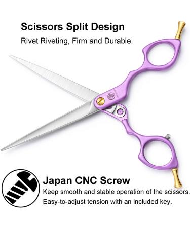 Professional Dog Grooming Scissors Shears - 6.5 Straight & Curved Blades for Precision Cutting - Rainbow Finish - Japanese Stainless Steel - Purple Handle - Buy Online on GoSupps.com