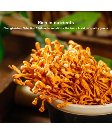  HQZMCTE Natural Herbal Tea Healthy Cordyceps Flower Tea 1.41oz/40g Cordyceps Militaris Premium Quality Natural Cordyceps Air Dried - Buy Online on GoSupps.com