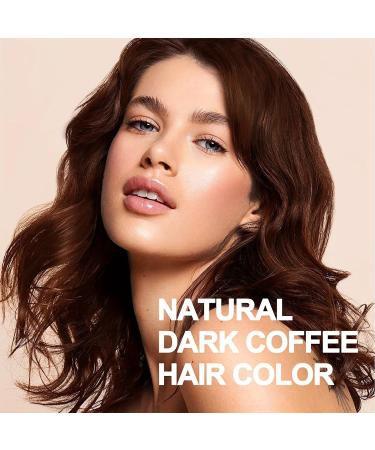 500ML Argan Oil 3-in-1 Hair Color Shampoo for Gray Hair - Light Brown Instant Dye for Men & Women - Buy Online on GoSupps.com