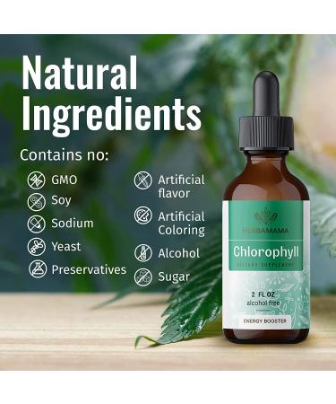 HERBAMAMA Chlorophyll Liquid Drops - Energy Booster for Digestion & Immune Support - Vegan Sodium Copper Chlorophyllin Extract - 2 fl. Oz - Buy Online on GoSupps.com