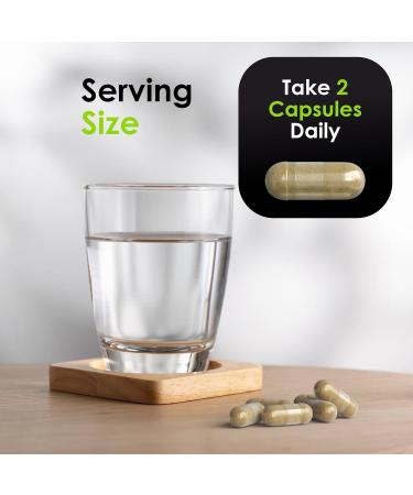 FitoHerbs Milk Thistle & Dandelion 1000Mg - Digestive Health Support - Liver Detox Health Capsules - Vegan Milk Thistle Herbal Supplements - High-Potency Antioxidant Pills - 90 Count - Buy Online on GoSupps.com